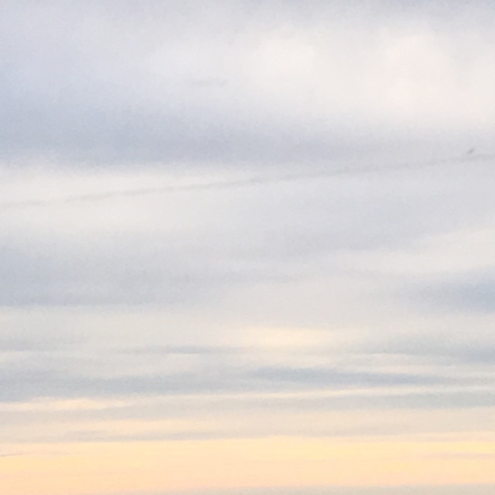 Meet your Posher, Maegan